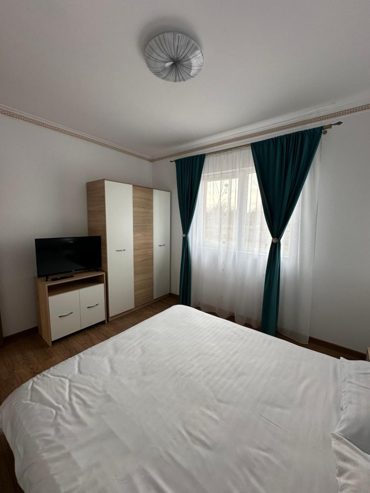 Pruneanu Apartment *