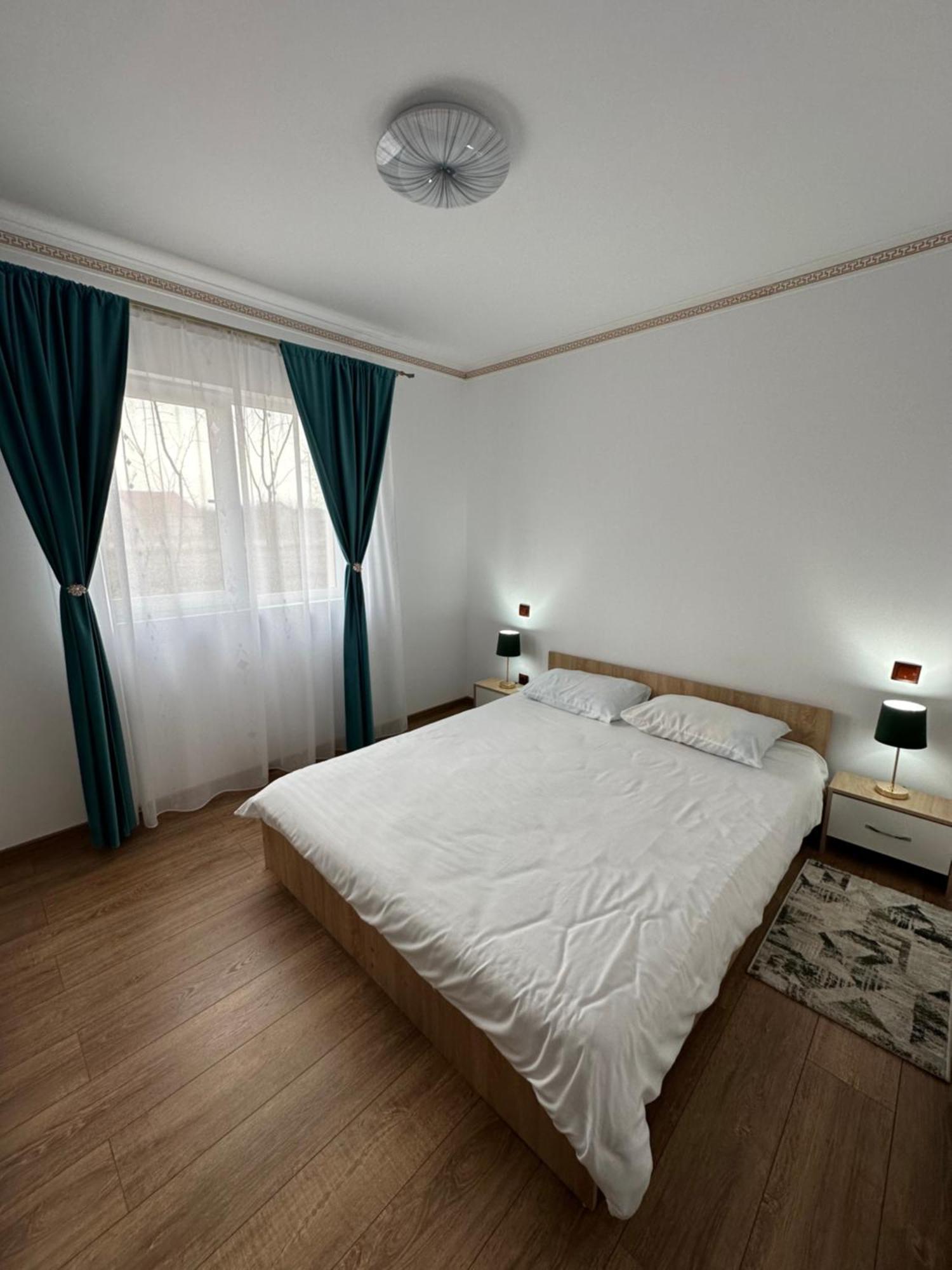 Pruneanu Apartment *